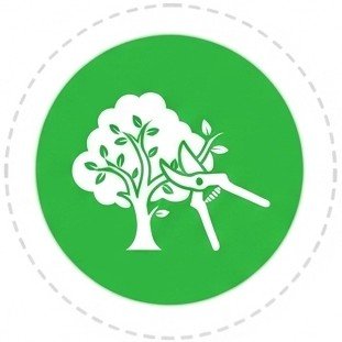 Tree service Pine Bluff AR
