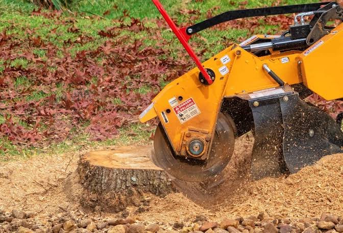 Affordable Stump Grinding Pine Bluff AR