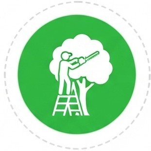 Demolition contractors Warren AR