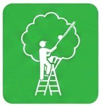 Professional tree trimming Pine Bluff