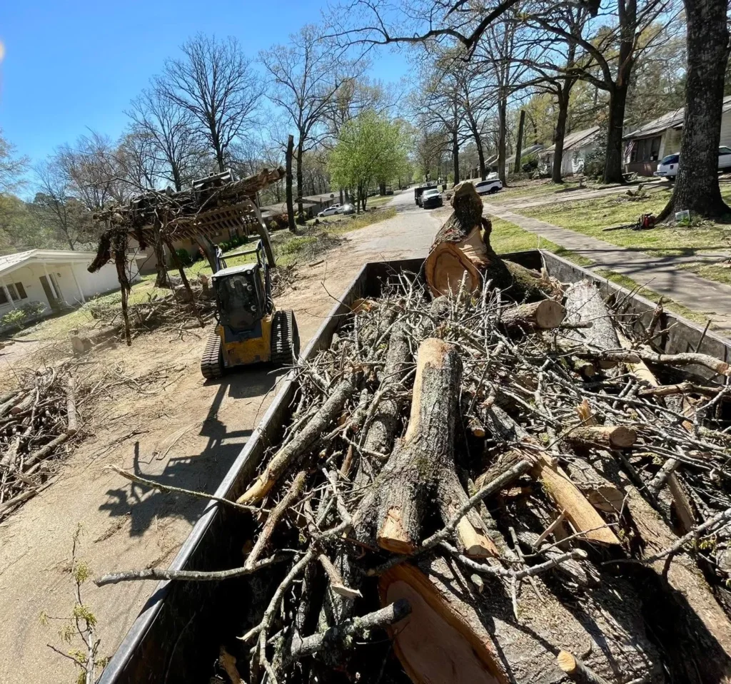 Reliable Tree service in Drew County, Arkansas