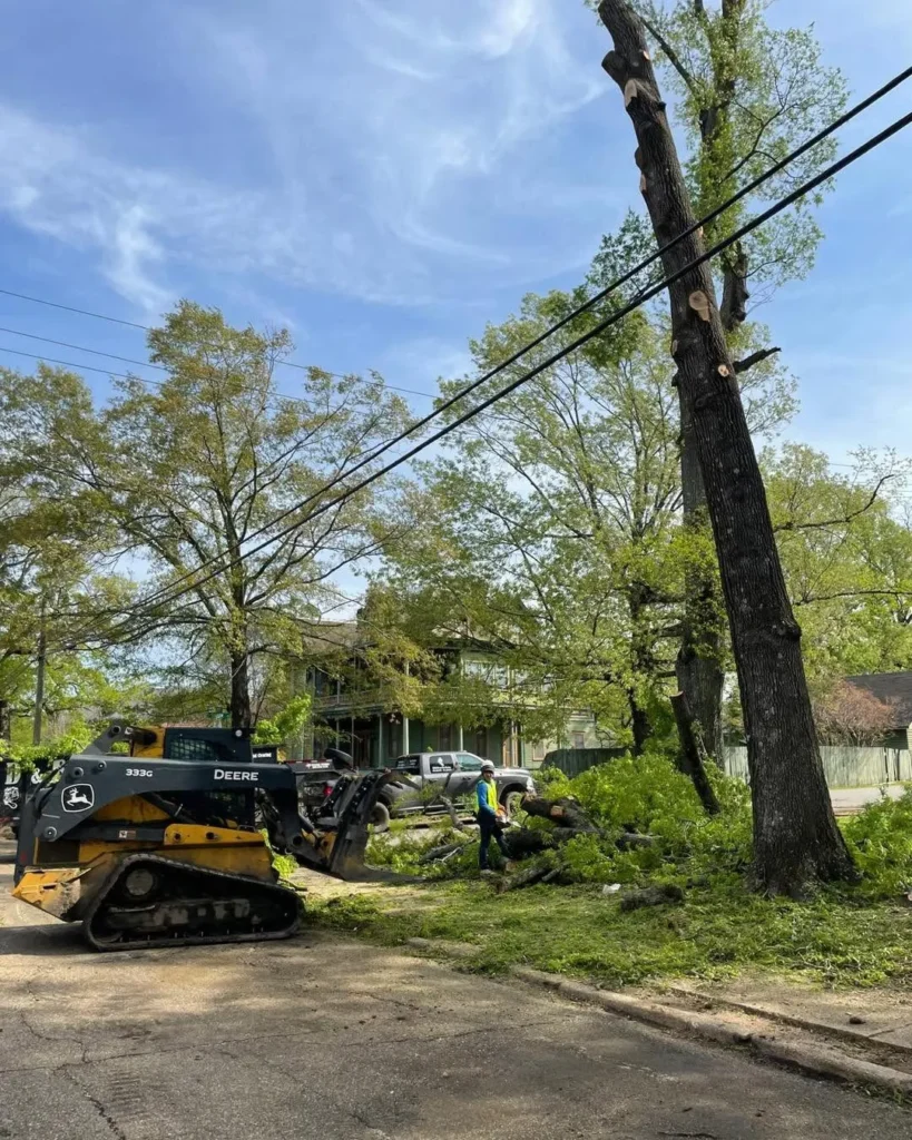 Professional Affordable Local Tree Cutting in Drew County, Arkansas
