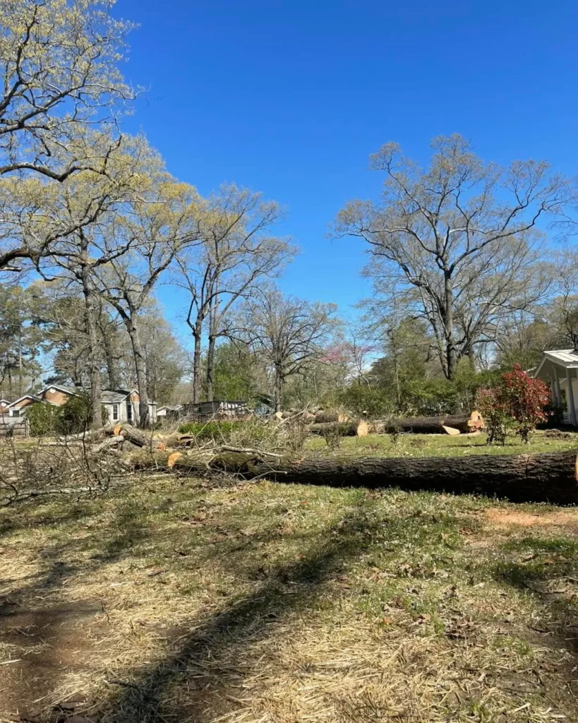 Affordable Tree cutting in Drew County, Arkansas