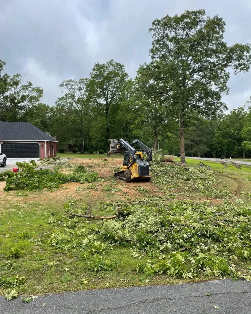 Local Tree Removal in Drew County, Arkansas
