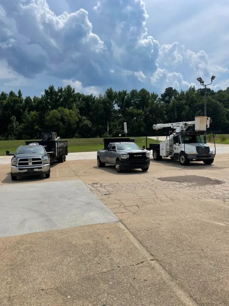 Professional Tree Removal in Drew County, Arkansas