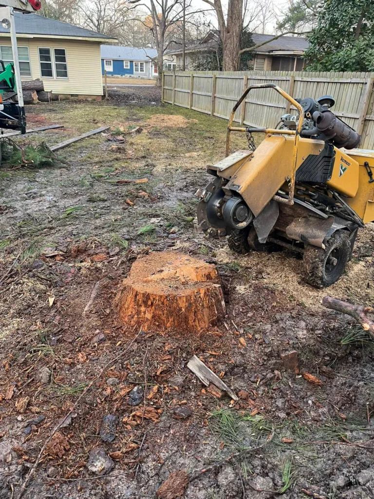 Professional Grinding in Drew County, Arkansas