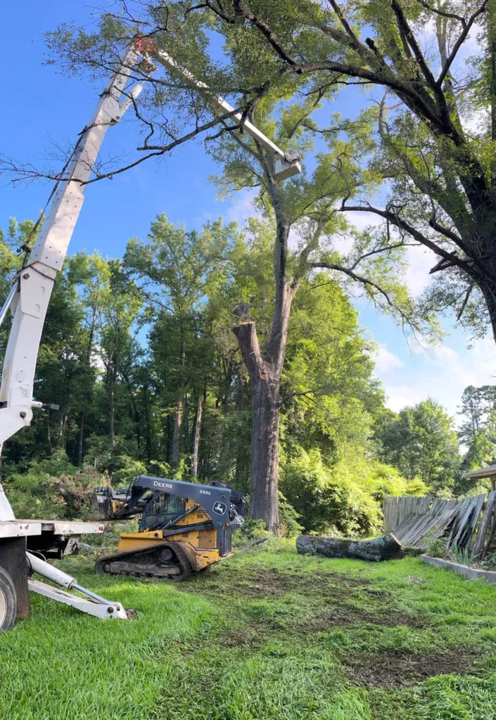 Emergency tree removal Monticello AR